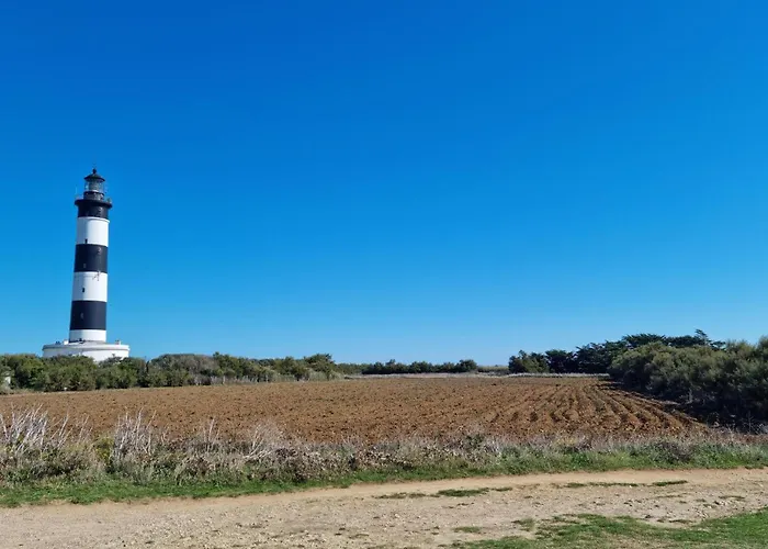 Appartement Lovely In With Wifi Royan