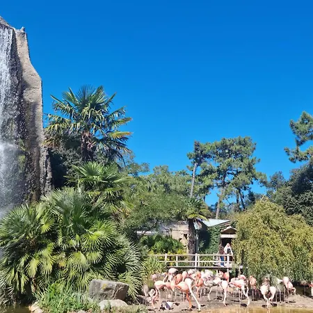 Lovely In With Wifi Apartment *