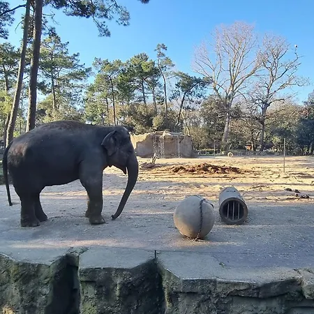 Lovely In With Wifi Apartment Royan