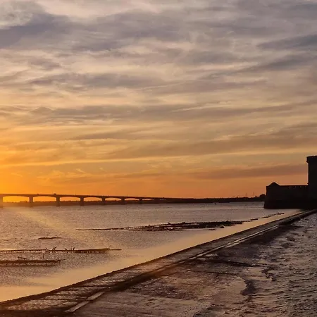 Lovely In With Wifi *