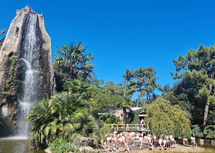 Lovely In With Wifi Apartment *