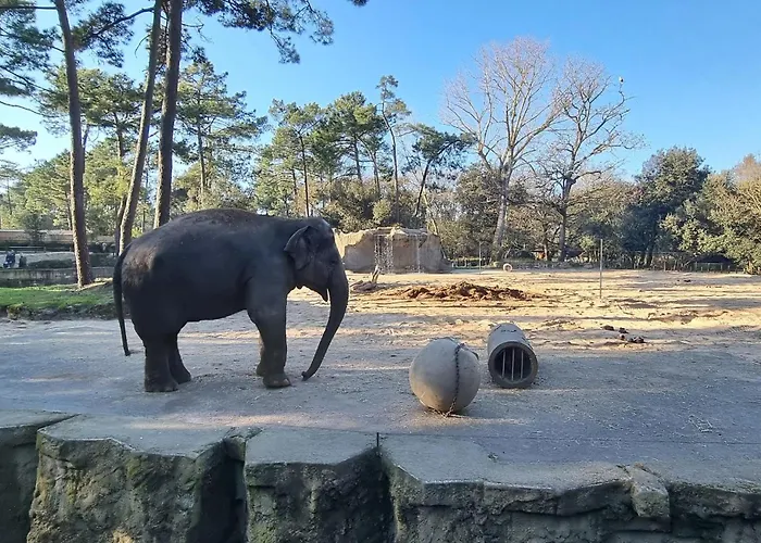 Lovely In With Wifi Διαμέρισμα Ρουαγιάν